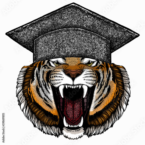 Vector tiger portrait. Square academic cap, graduate cap, cap, mortarboard. Animal head.