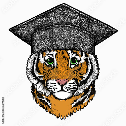 Baby tiger, small little tiger for children. Square academic cap, graduate cap, cap, mortarboard.