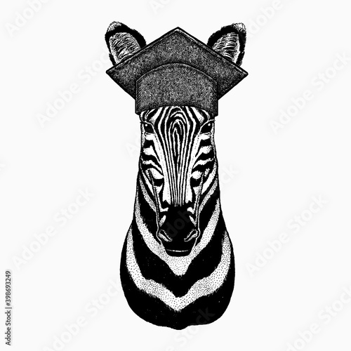 Zebra vector portrait. Square academic cap, graduate cap, cap, mortarboard. Head of african wild animal zebra.