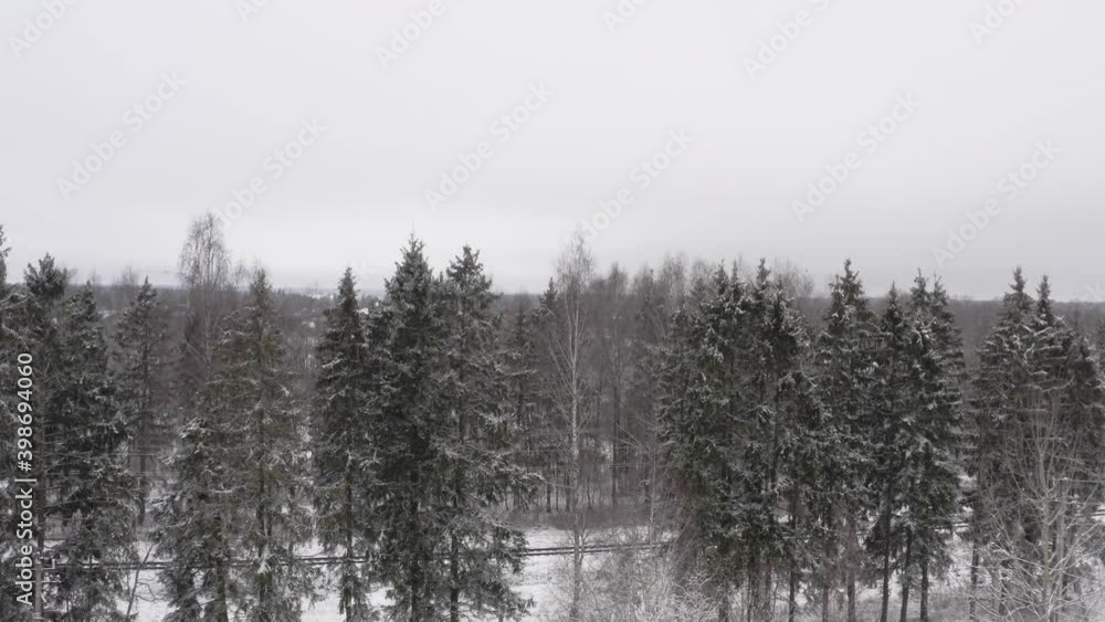 beautiful landscape of the Russian village in winter, against the background of the winter forest. aerial view during the day beautiful landscape of the Russian village in winter, against the background of the winter forest. aerial view during the day