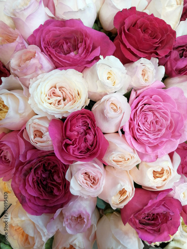 bouquet of roses © Виолетта Рамонайте