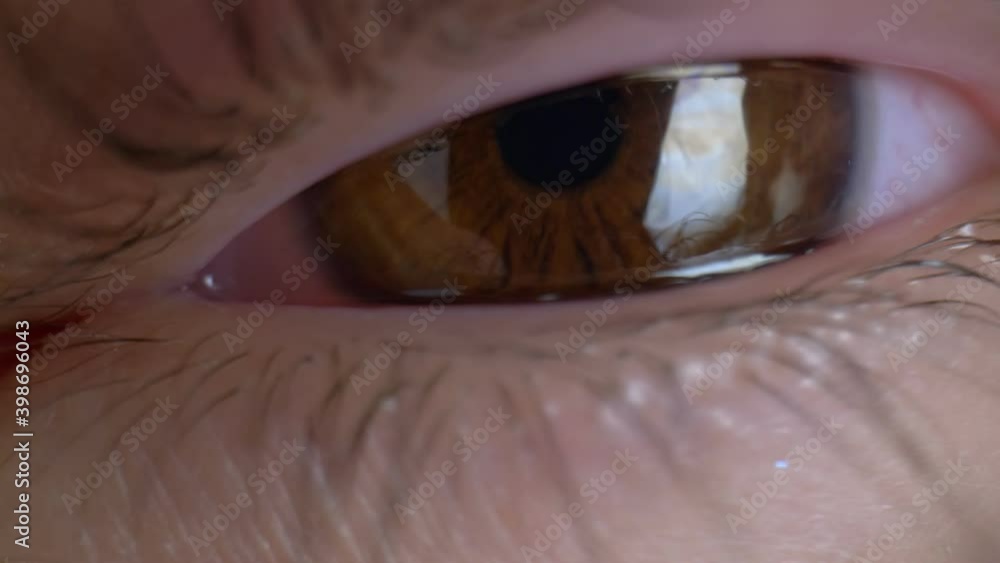 Extreme close-up, detailed, brown human eye with black eyelashes. Extreme close-up, detailed, brown human eye with black eyelashes.