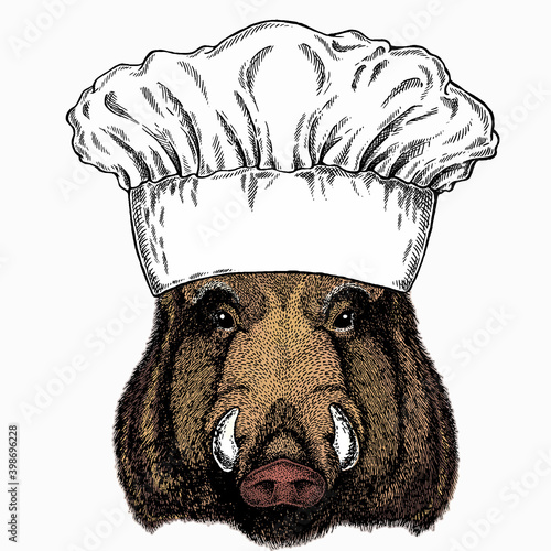Wild boar, hog, pig. Chef cook hat. Restaurant logo. Animal head, portrait