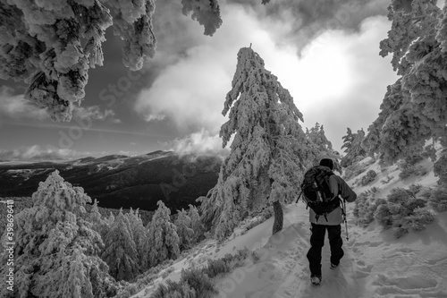 Senderista en un bosque nevado