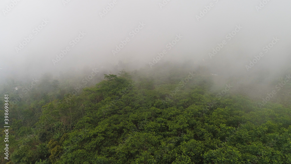 clouds and fog in rainforest. agricultural land, farmlands in rainforest covered clouds, fields with crops, trees. Aerial view farmers houses in jungle. tropical landscape Bali, Indonesia. clouds and fog in rainforest. agricultural land, farmlands in rainforest covered clouds, fields with crops, trees. Aerial view farmers houses in jungle. tropical landscape Bali, Indonesia.