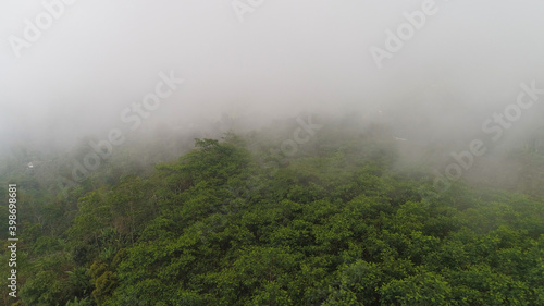 clouds and fog in rainforest. agricultural land, farmlands in rainforest covered clouds, fields with crops, trees. Aerial view farmers houses in jungle. tropical landscape Bali, Indonesia.