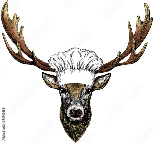 Vector portrait of deer. Chef cook hat. Restaurant logo. Woodland animal head.