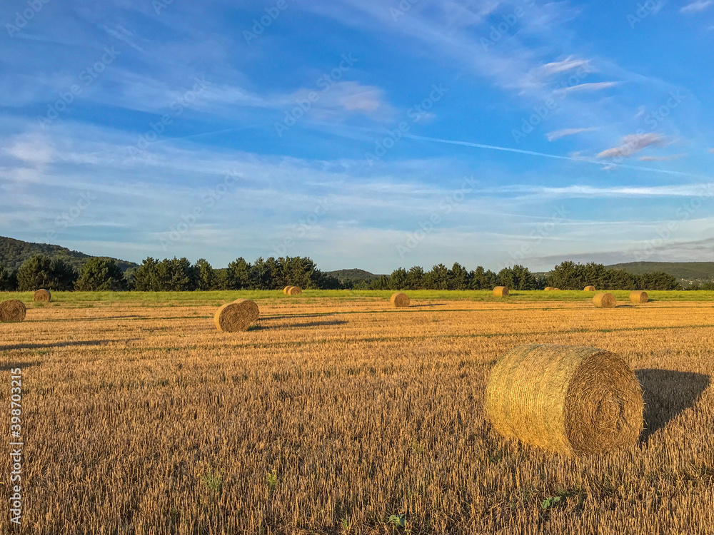 Straw bales after harvest on a  field at late summer in golden lights