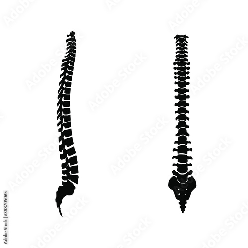 Ridge icon vector set. spine illustration sign collection. anatomy symbol.