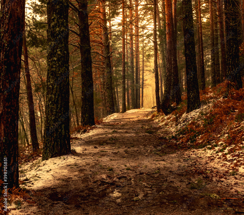 Fototapeta premium reservoir water coming down from the waterfall on a winter day with snow on the shore