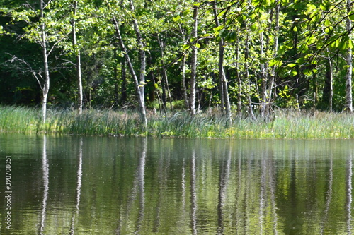 Région des mille étangs, 1000 étangs, plateau des mille étangs en Haute-Saône