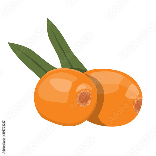 Sea buckthorn berries vector isolated. Orange berry and green leaves, sweet tasty fruit. Organic plant, healthy eating. Natural nutrition