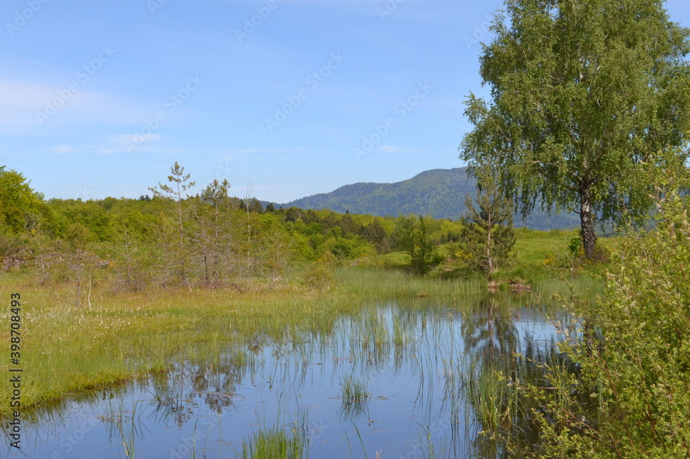Région des mille étangs, 1000 étangs, plateau des mille étangs en Haute-Saône