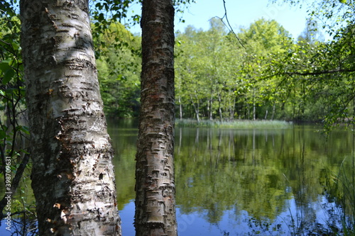 Région des mille étangs, 1000 étangs, plateau des mille étangs en Haute-Saône
