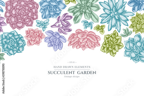 Floral design with pastel succulent echeveria, succulent echeveria, succulent