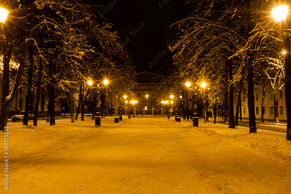 Night winter park before christmas
