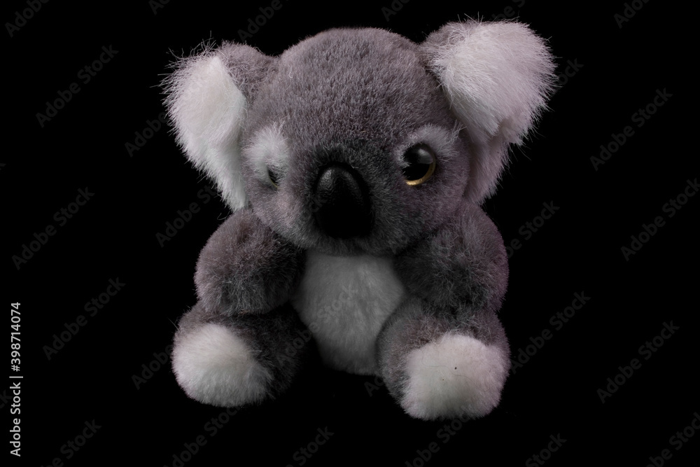 gray teddy koala on a black background close-up gray teddy koala on a black background close-up