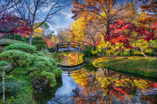 Fall Foliage in the Japanese Garden © dfikar