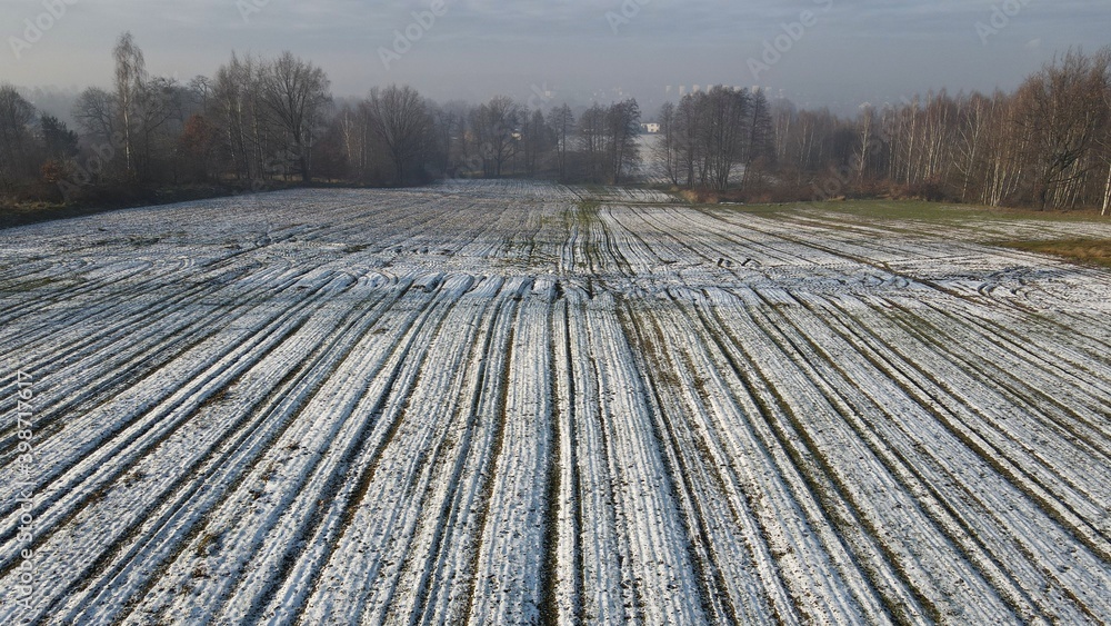 Obraz premium pierwszy śnieg na polu, Śląsk, Polska