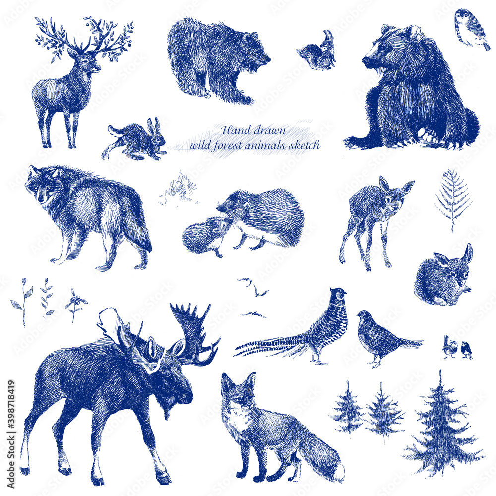 Hand drawn set of cute children's illustrations. Collection of forest  animals and leaves. Funny elements in doodle style. 4849940 Vector Art at  Vecteezy