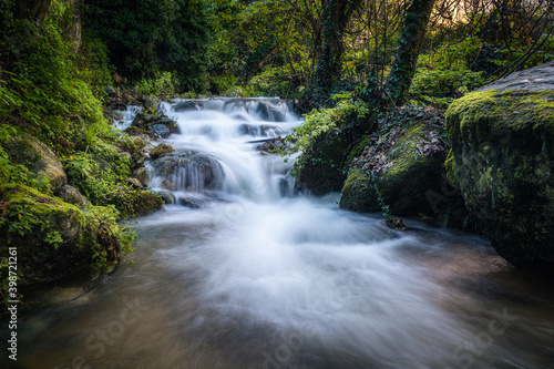 Mountain stream in Corsica