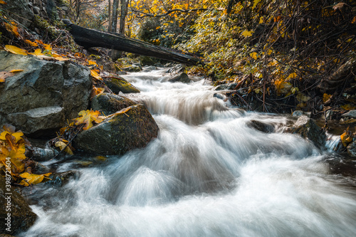 Mountain stream in Corsica