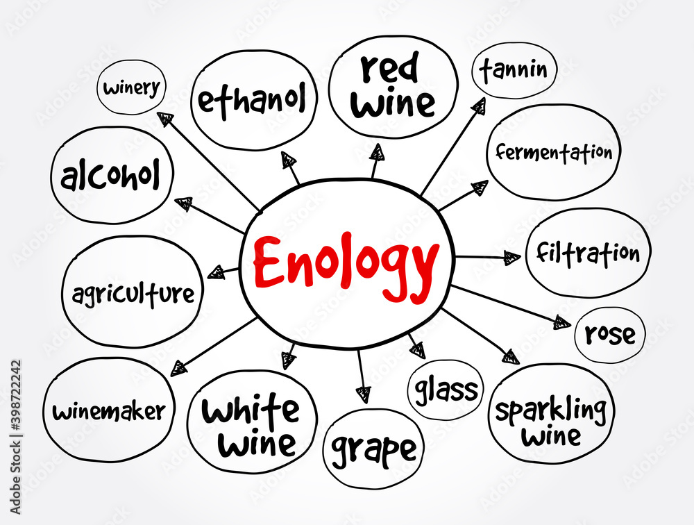 Enology mind map, concept for presentations and reports Enology mind map, concept for presentations and reports