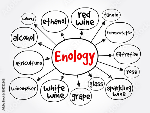 Enology mind map, concept for presentations and reports