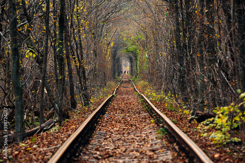 love tunnel in autumn. Railway and tunnel from trees