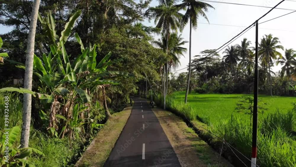 Drone shot of a road in Bali, Indonesia. Drone shot of a road in Bali, Indonesia.