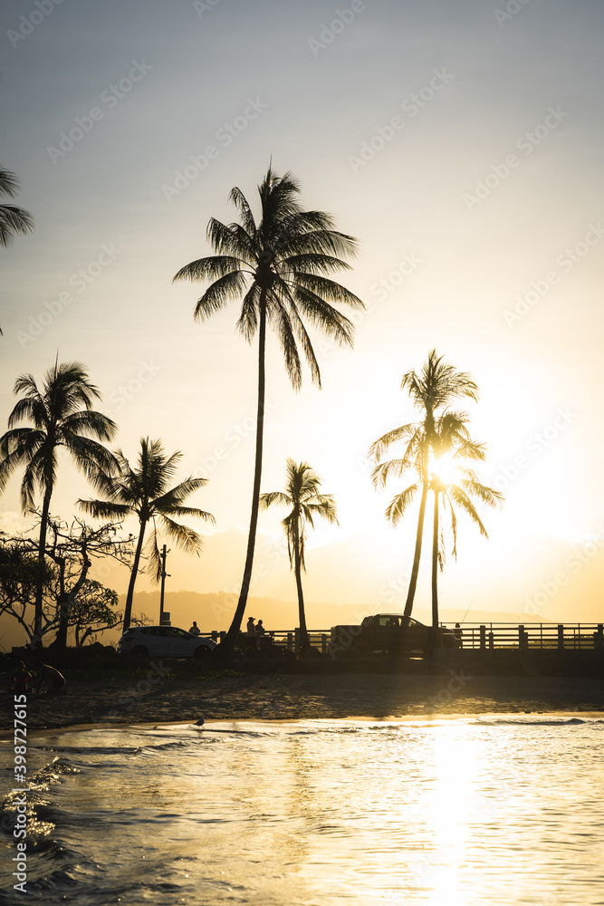 Palm tree silhouette in golden summer evening sunset haze