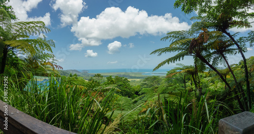 The Daintree Rainforest