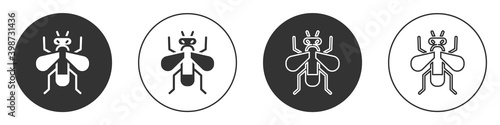 Black Insect fly icon isolated on white background. Circle button. Vector.