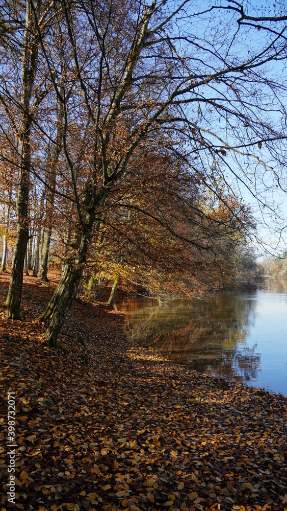 Obraz premium autumn in the park