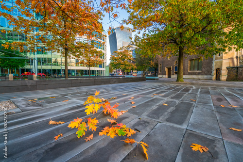 Autumn leaves in London near All Hallows Tower churc photo