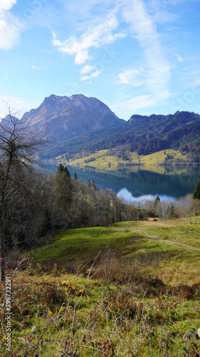 landscape with lake