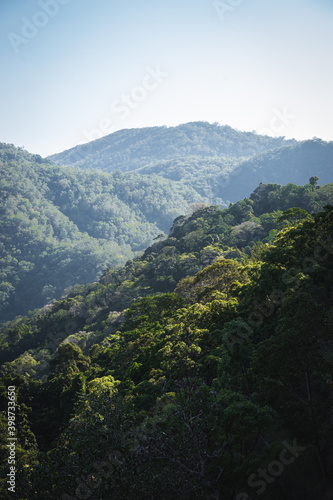 Rainforest lush green hills rolling with afternoon light rays