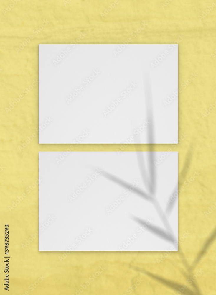 Blank gorisontal paper sheet on yellow wall with leaves gray shadow overlay.