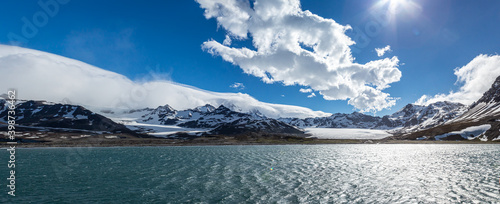 Fotografia Panorama of St. Andrews Bay on South Georgia