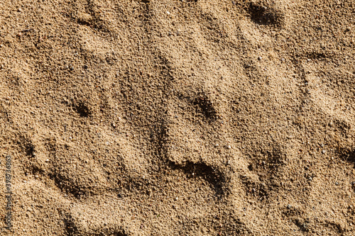 Tekstura piachu na plaży