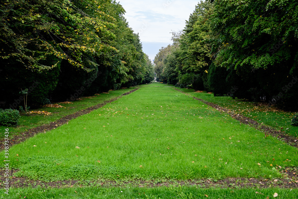 Lanscape with the main alley with vivid green plants, green lime trees and grass in a sunny summer day in Cismigiu Garden in Bucharest, Romania .