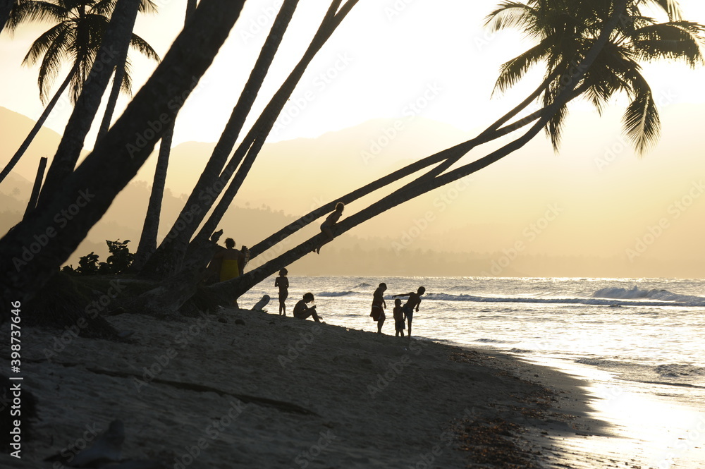 Beach Palm Trees in Dominican Republic 