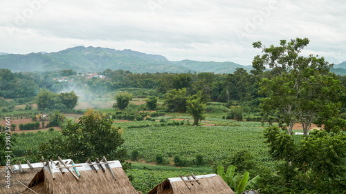 Exterior View of Corn Farm in Houn District, Oudomxay Province, Laos. Green Farm and Peaceful Place in Asia.