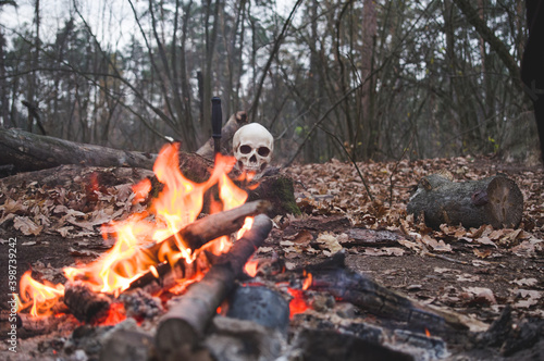 Human skull on fire. Skull behind fire. Skull on a tree stump in the forest.