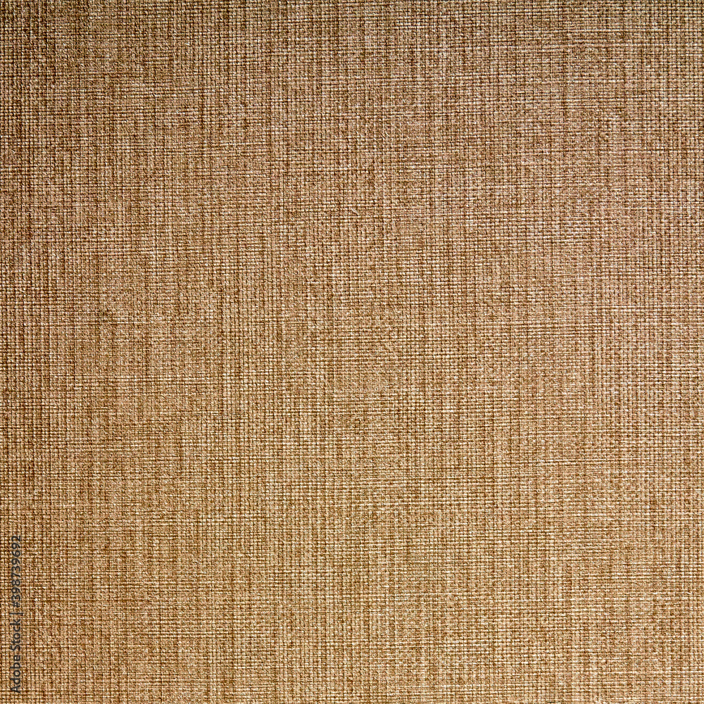 Abstract brown background with a pattern of intersecting lines Abstract brown background with a pattern of intersecting lines