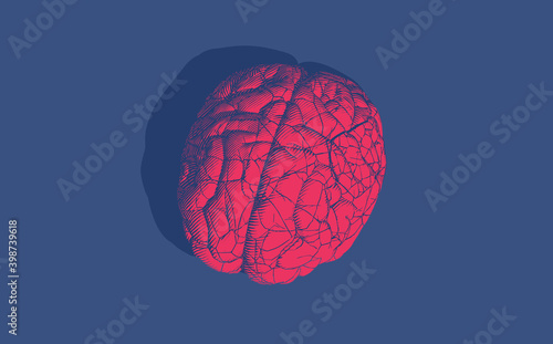 Vintage engraving brain cracking illustration isolated on blue BG
