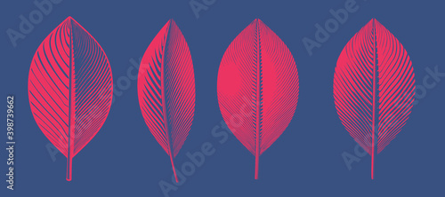 Vintage glyph engraving leaves sign icon in various style illustration