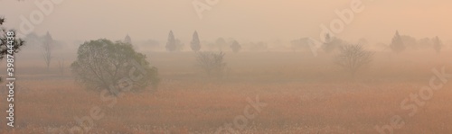 Nakdong River, misty at dawn photo