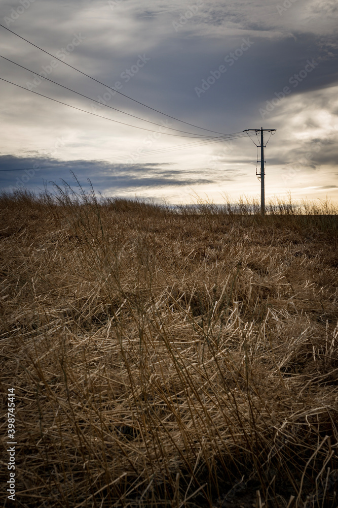 Fototapeta premium fence