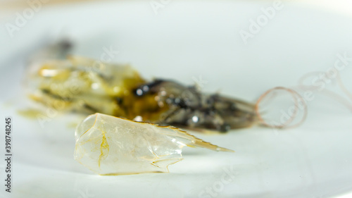 White shrimp, Remove the head shell and set it on side. part of shrimp body. showing part of shrimp anatomy